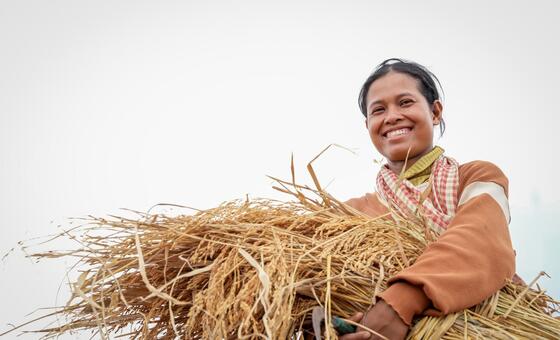 Благодаря доступу к данным Агрометеорологической службы Камбоджи Сари Кеа сможет лучше планировать свою деятельность по выращиванию риса и адаптироваться к изменчивости климата.